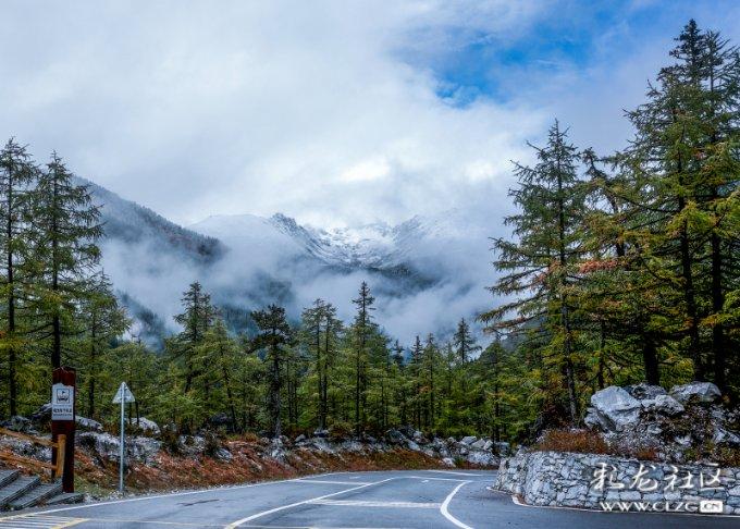 酸奶和纯奶哪个更好点-全球最热门的红迪网平台